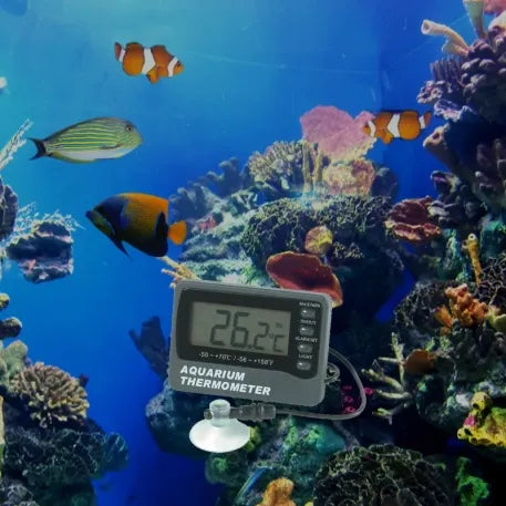 Aquarium (Fish Tank) Thermometer