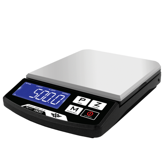 iBalance i500